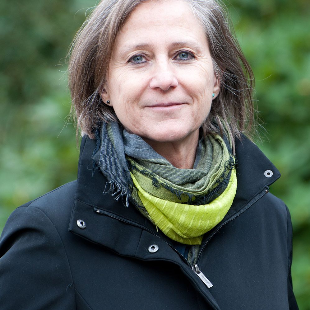 Ann Vrlak