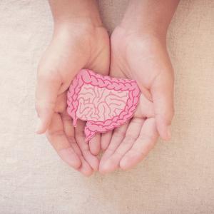 Gut Health