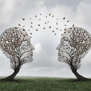 Nvc Non Violent Communication