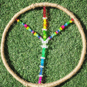 Pacifism Non Violence