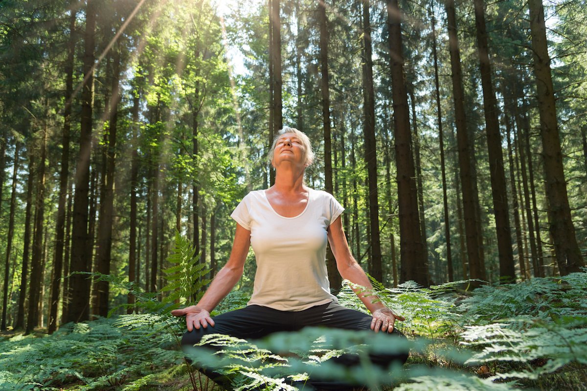 What is Forest Bathing? 6 Key Health Benefits