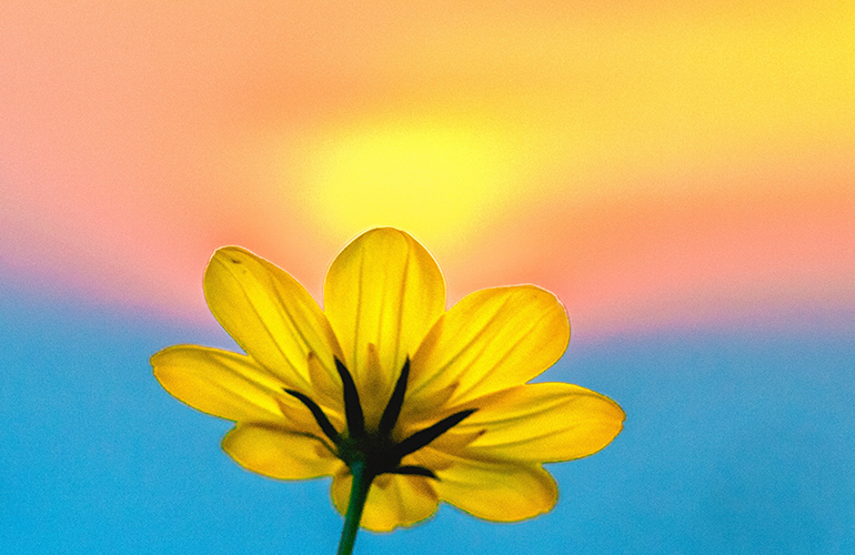 The Bright Side of April: the Good Things That Happened