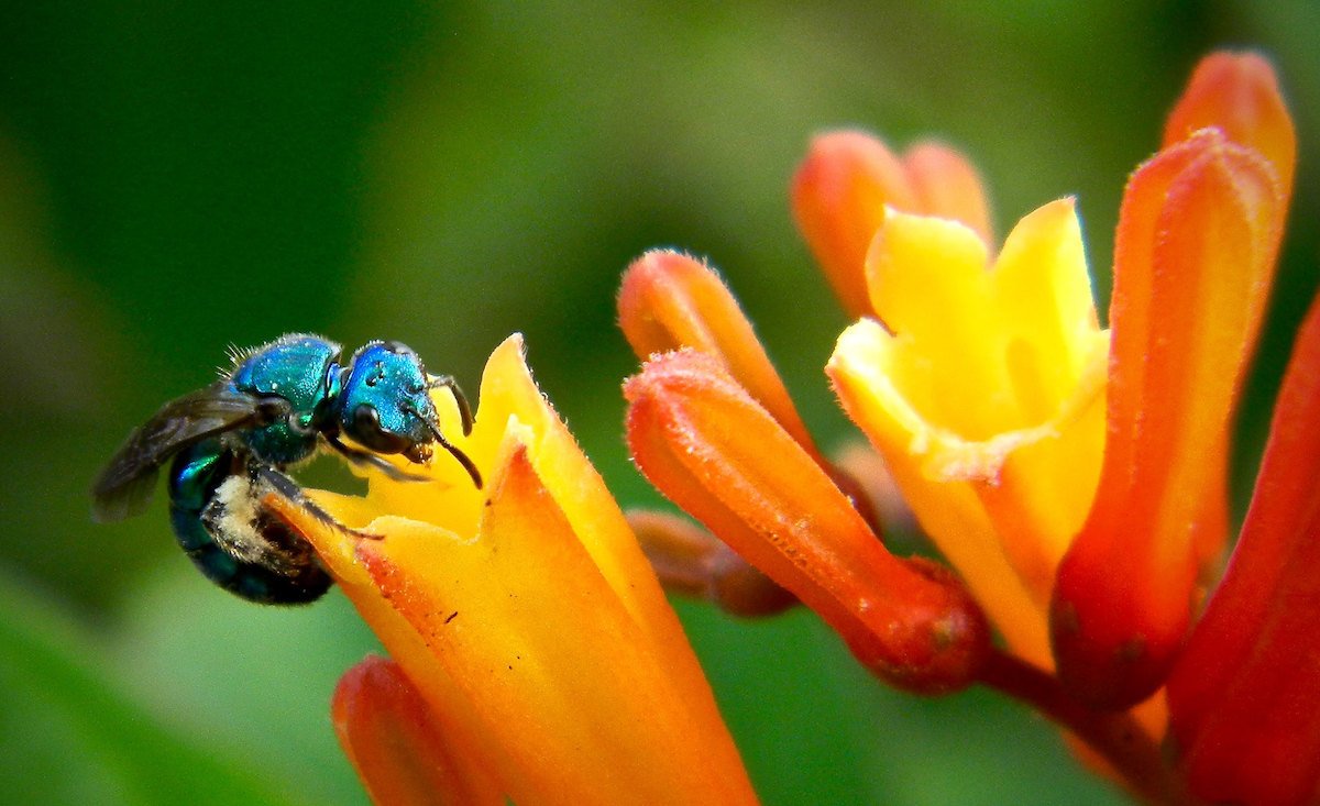 The Bright Side: feel-good news from May