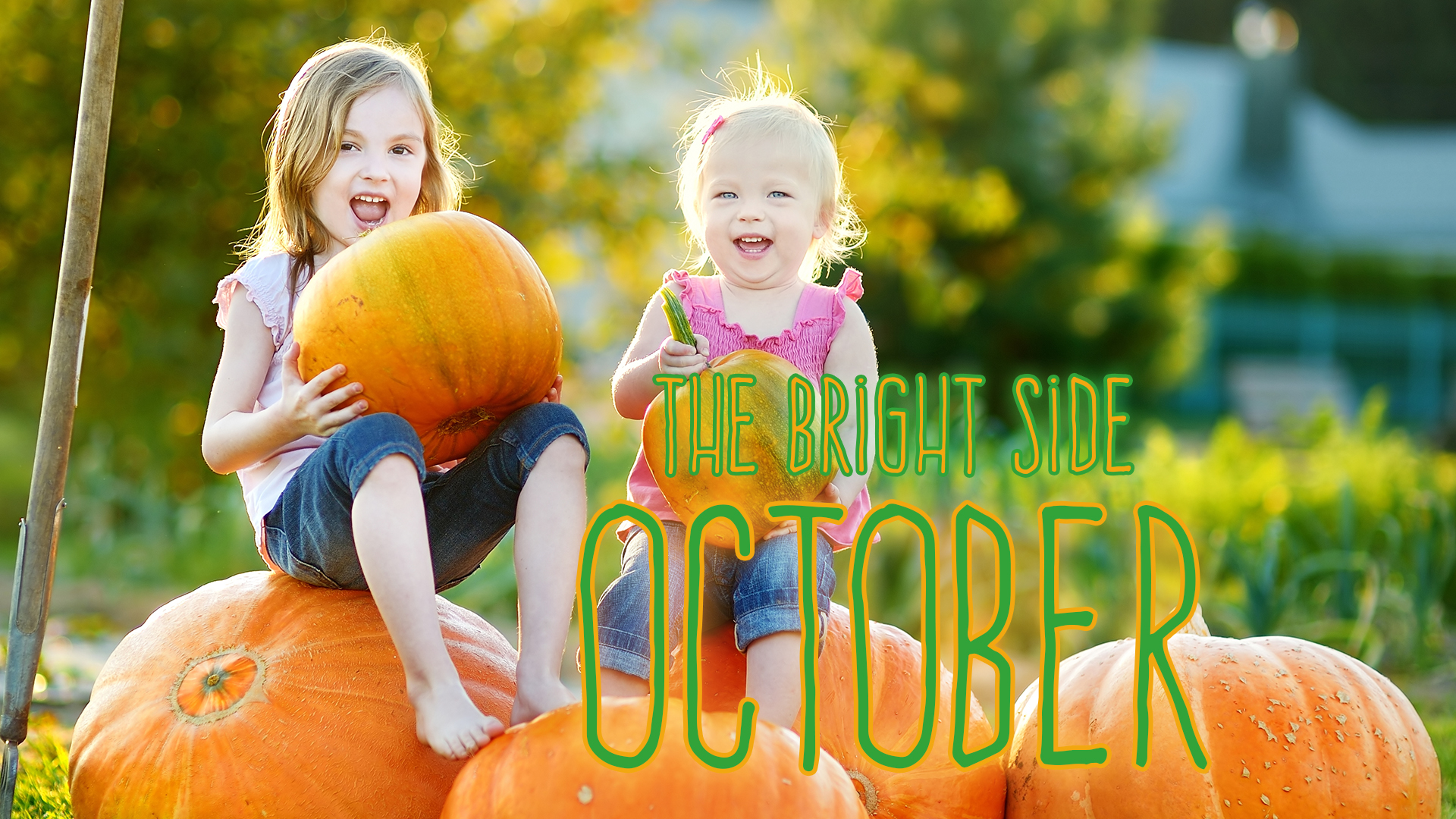 The Bright Side: positive news from October