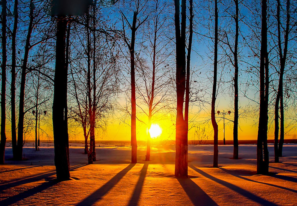 The Bright Side: feel-good news from December