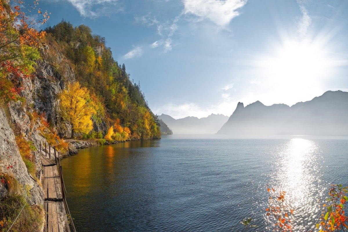 The Bright Side: feel-good news from October