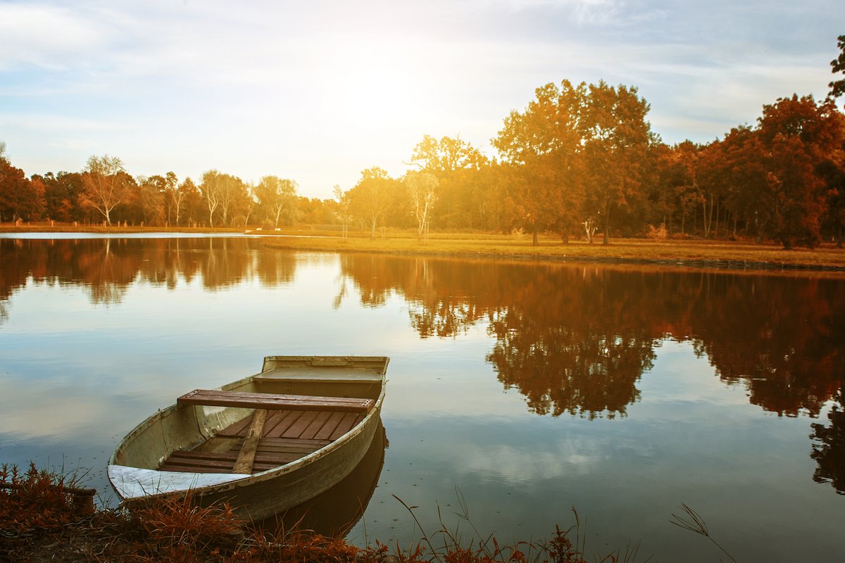 The Bright Side: feel-good news from September