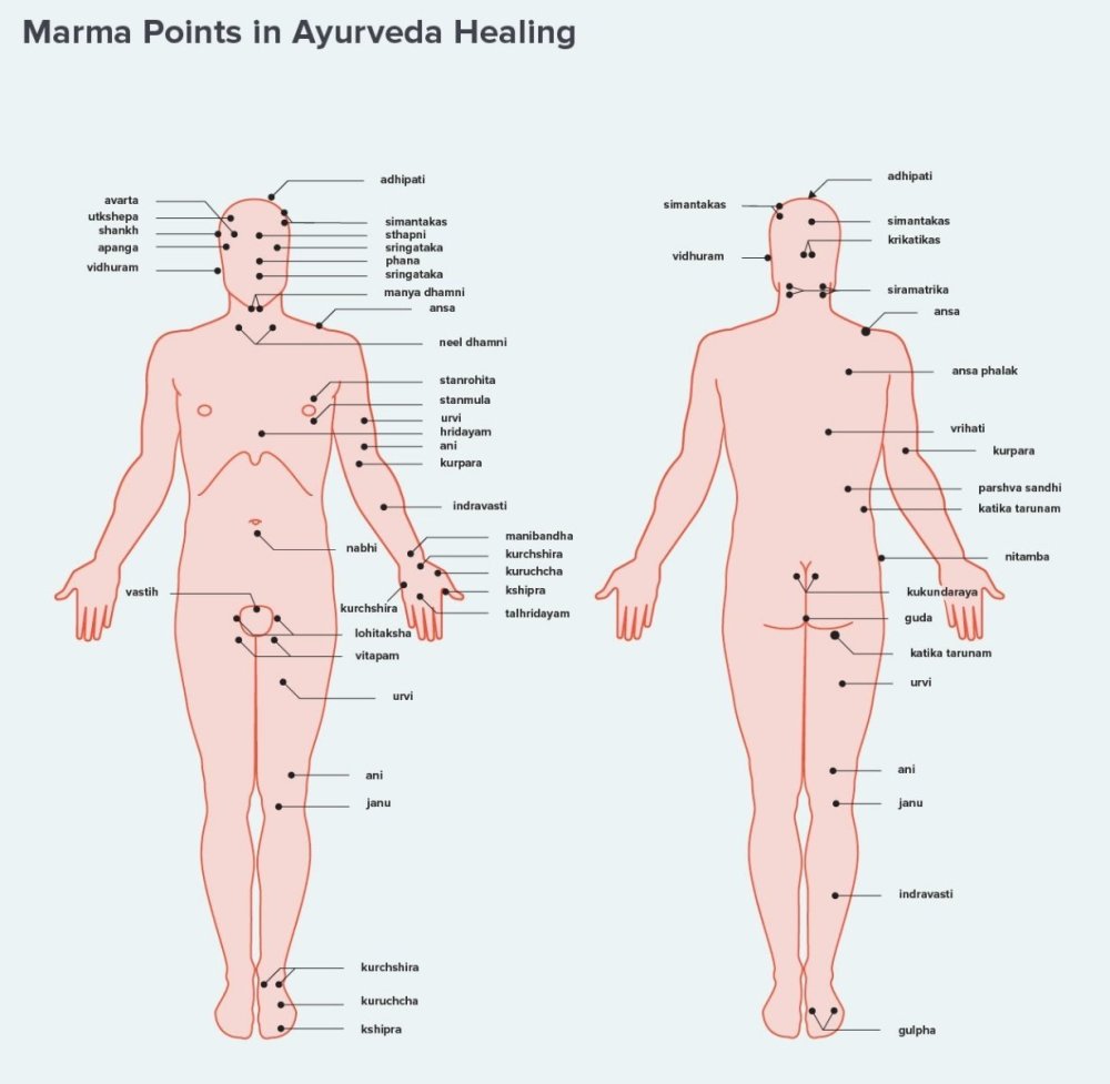 marma-points.jpg