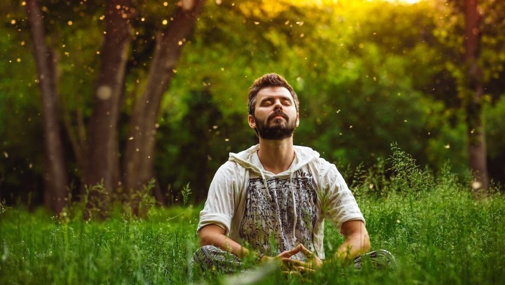 Mindfulness VS Meditation: What's the Difference?