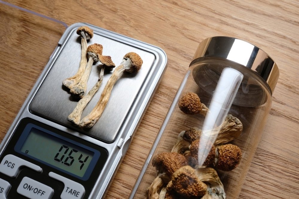 magic-mushrooms-scale-weigh-microdose.jpg
