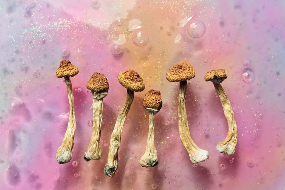 magic-mushrooms-microdosing.jpg