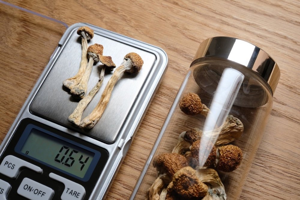 psychedelic-microdosing-dry-psilocybin-mushrooms-scales.jpg