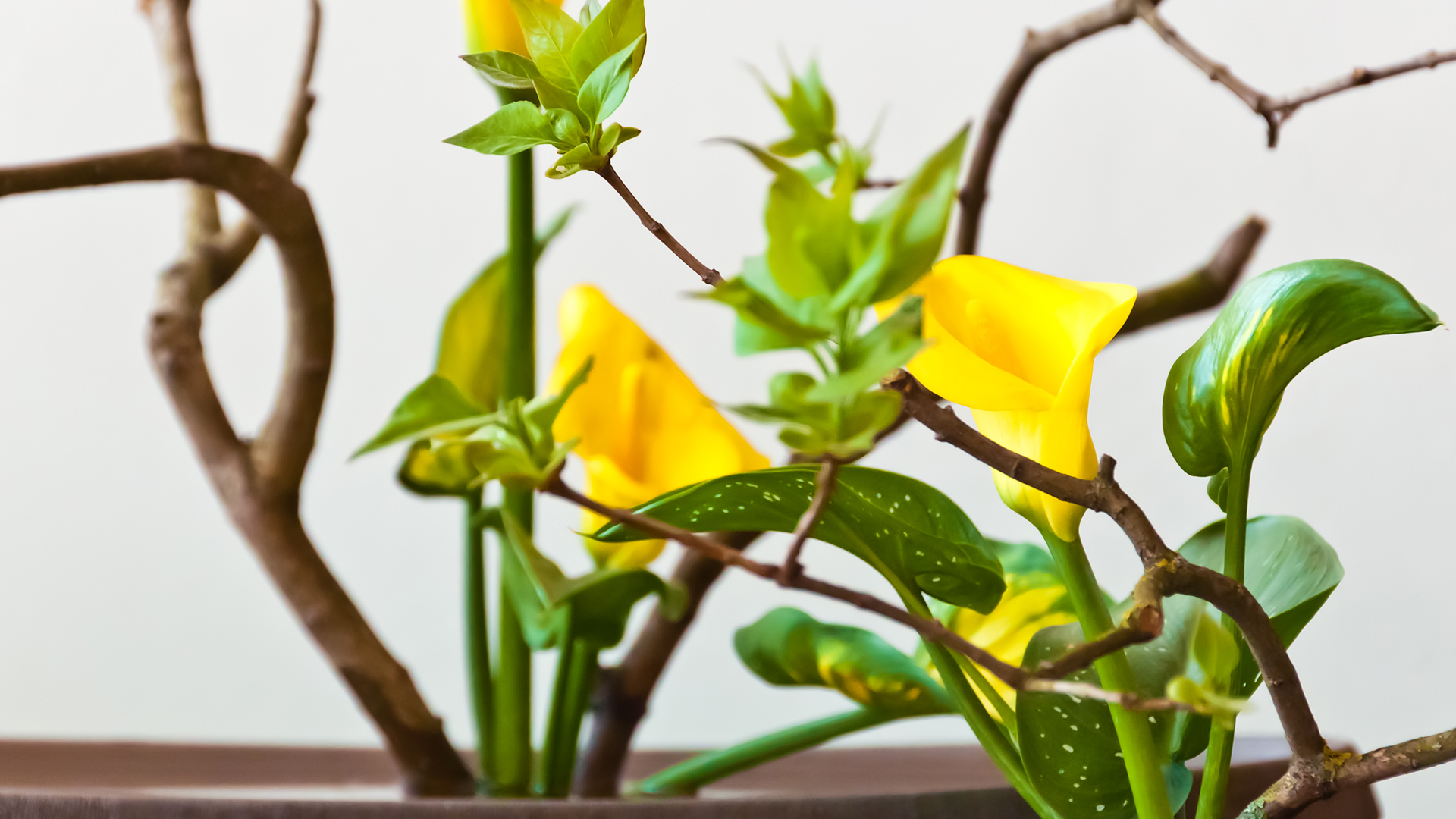 Minimalism: the Simple Rules