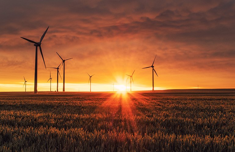 What Are Sustainable Development Goals?