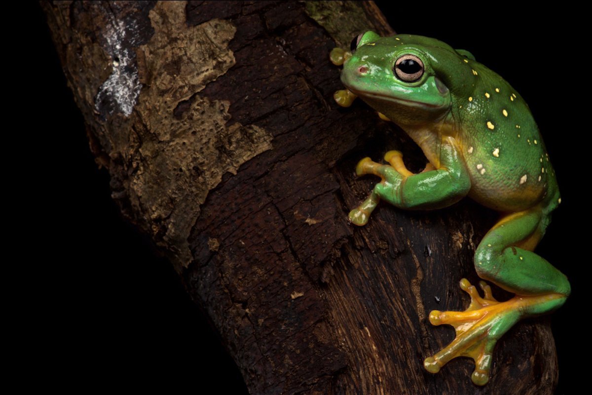 The bright side of April: the good things that happened