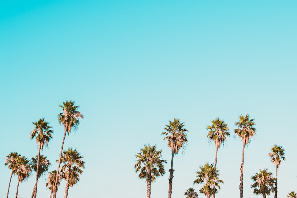 The Bright Side: feel-good news from June