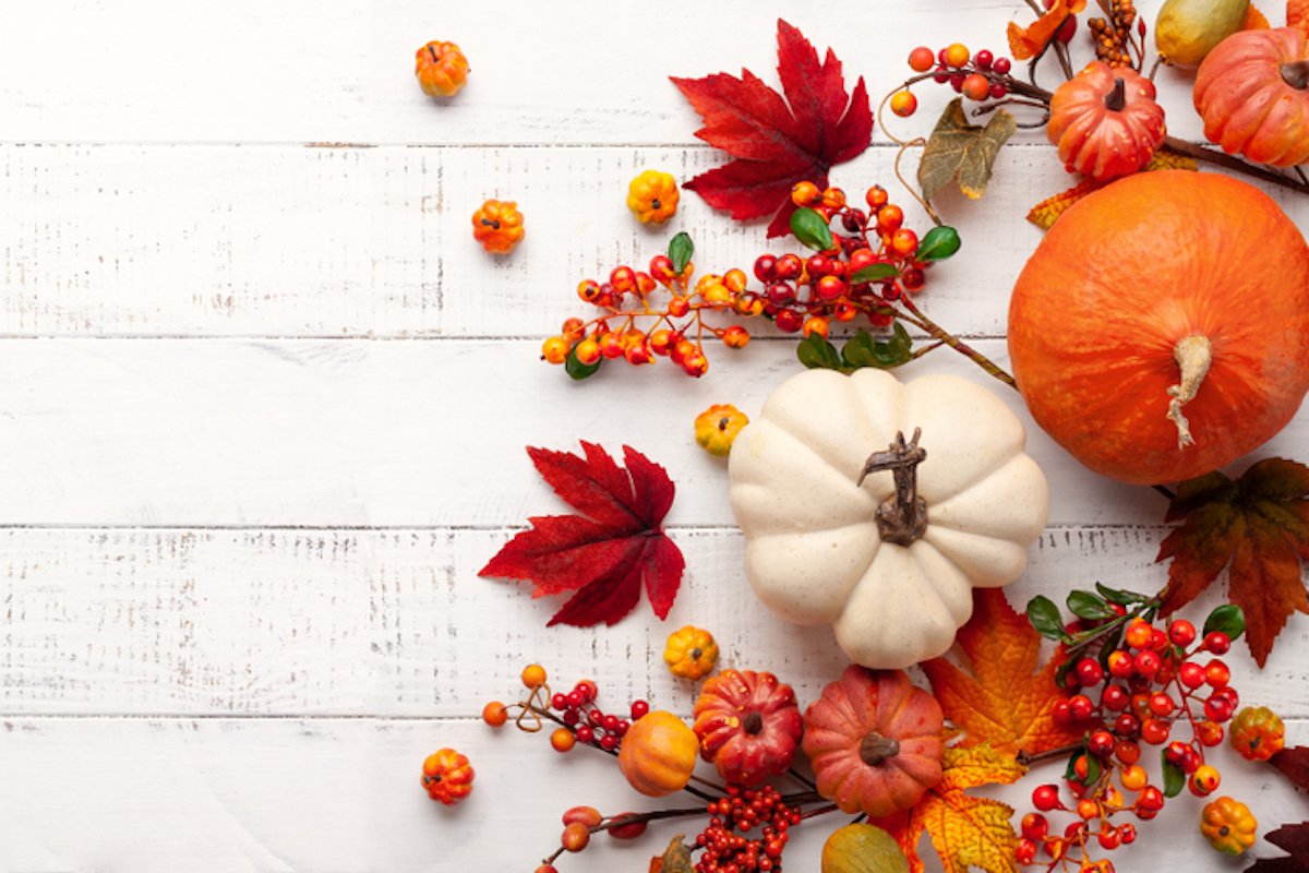 The Bright Side: feel-good news from November