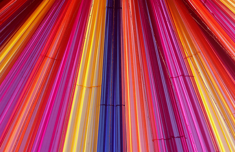 The Bright Side of March: the Good Things That Happened