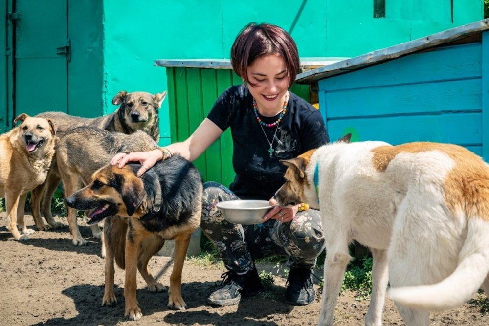 woman-volunteering-animal-shelter.jpg