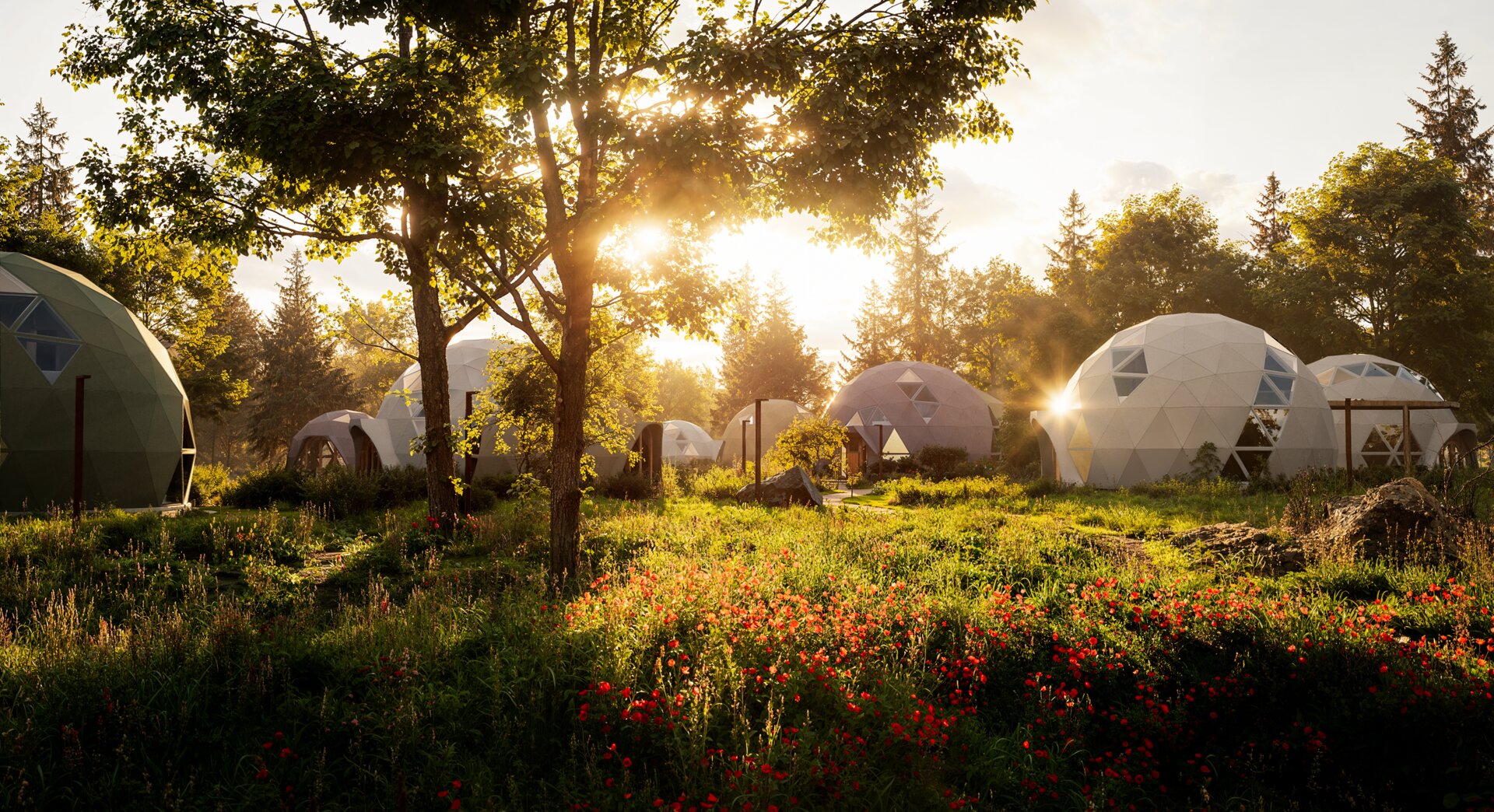 Soft focus landscape of rolling hills